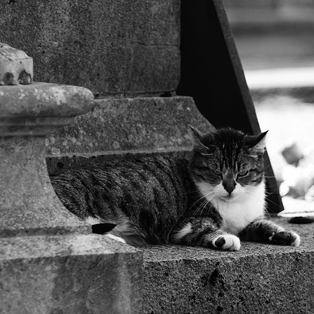 LA SENTINELLE