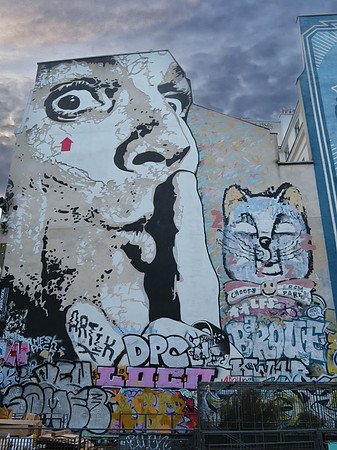 CAT IN PARIS