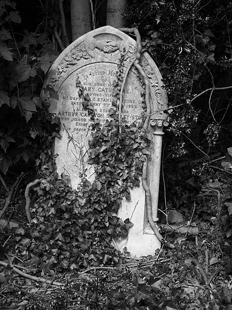 IN LOVING MEMORY