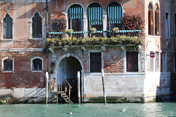 PROMENADE SUR LE GRAND CANAL