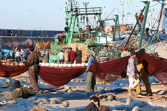 RETOUR DE PÊCHE