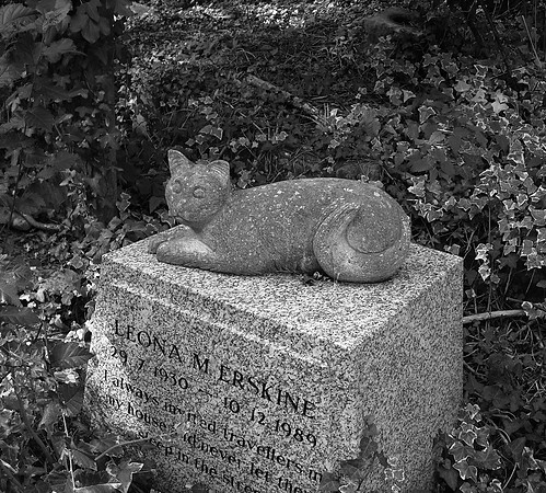 HIGHGATE CEMETARY CAT