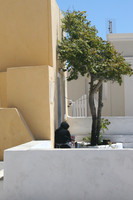 A L'OMBRE DE L'ARBRE