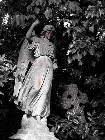 ANGEL 1