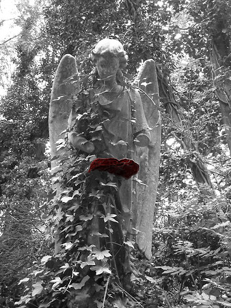ANGEL 3