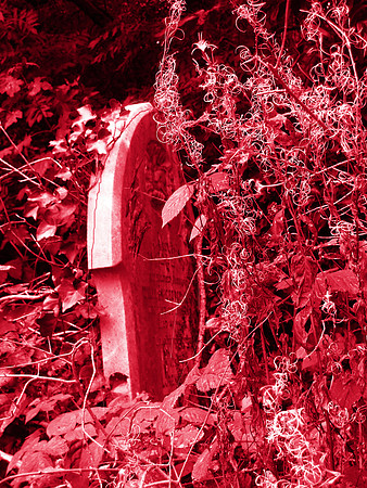 SEPULTURE