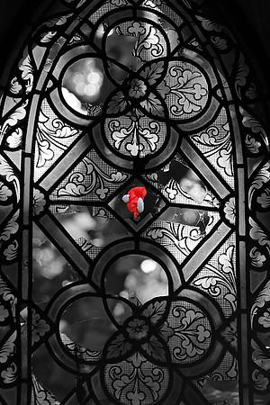VITRAIL AU COQUELICOT
