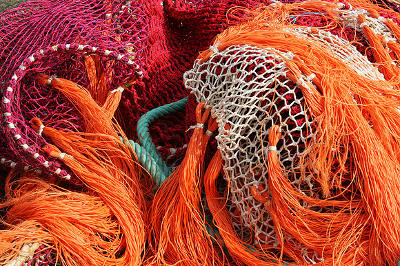 COLOR FISHING
