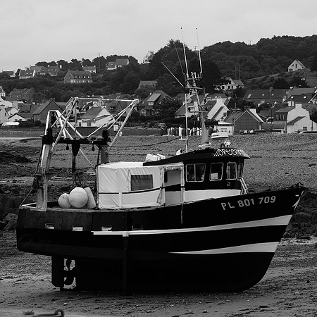 THE SHELLFISH TRAWLER